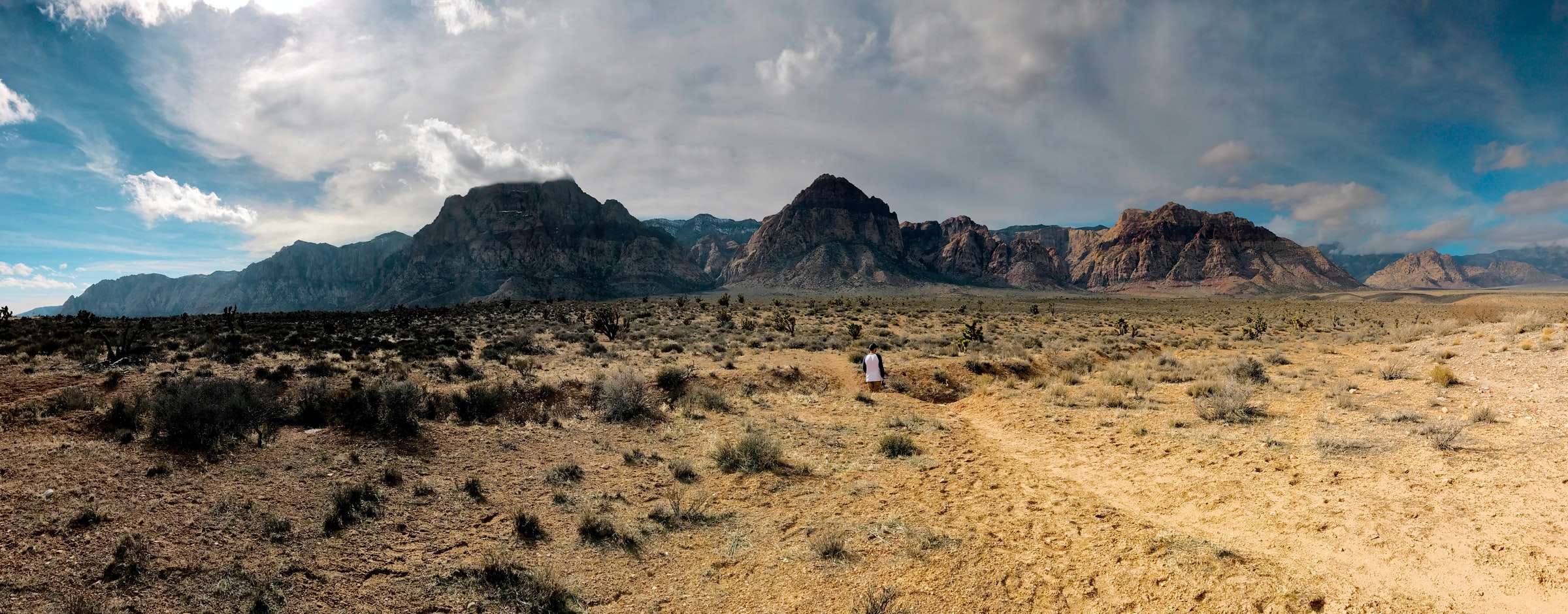 Alone in the desert